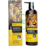 شامپو تقویت کننده لایتنس حاوی روغن آرگان مناسب موی آسیب دیده ا lightnes shampoo argan oil